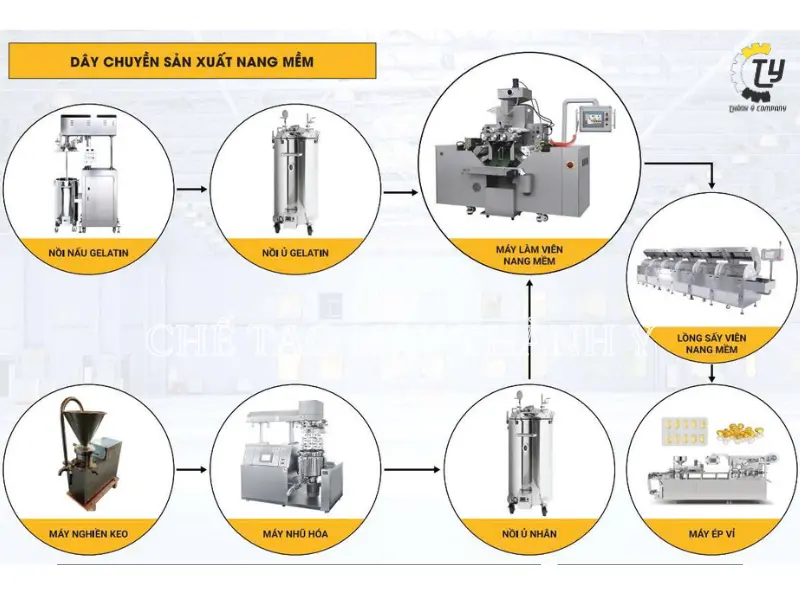 Nâng Cao Năng Suất Với Dây Chuyền Sản Xuất Nang Mềm Tự Động Hóa