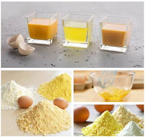 Quy Trình Sản Xuất Bột Trứng 